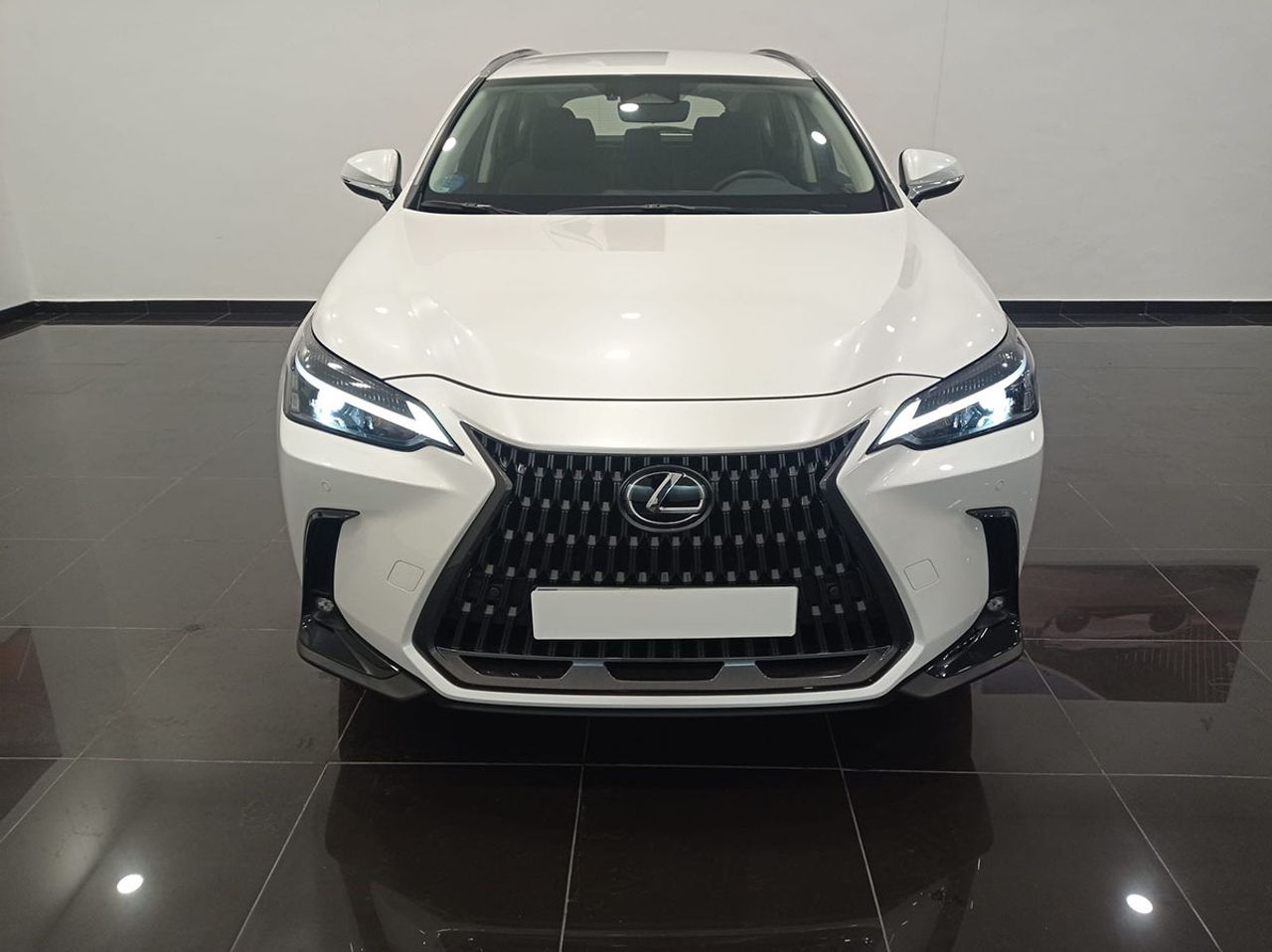 lexus nx 2023 / foto grande (2)
