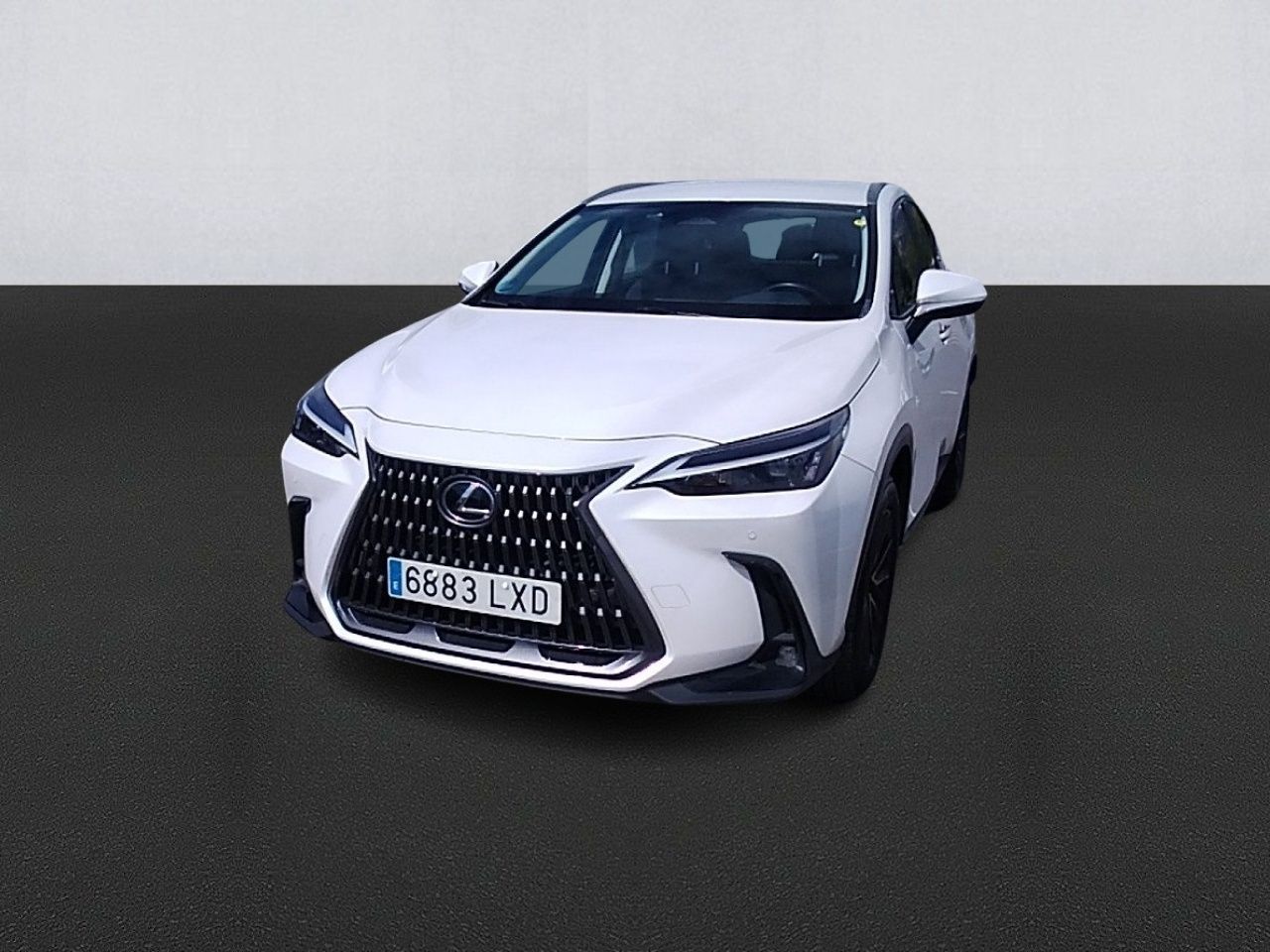Foto lexus nx 2022 /