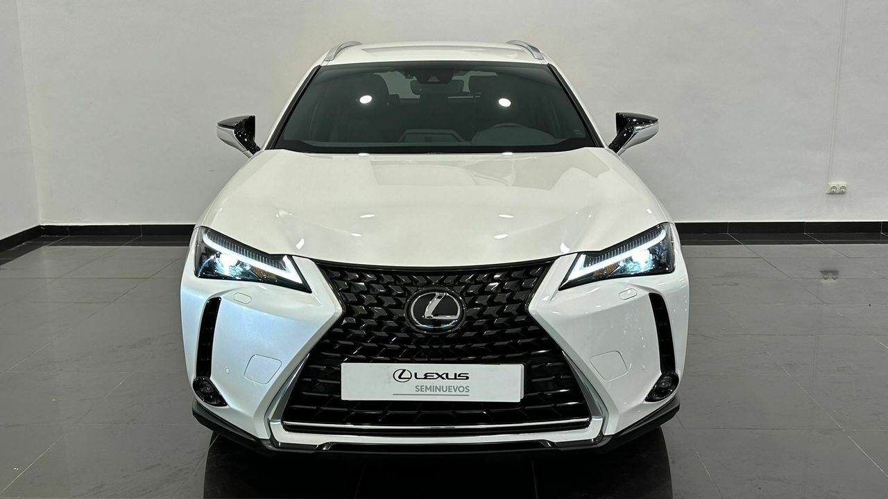 lexus ux 2024 / foto grande (2)