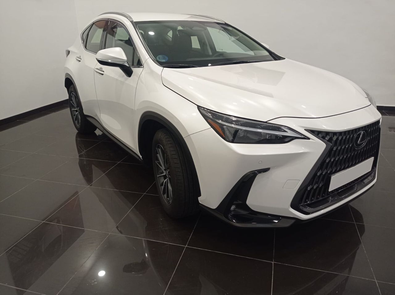 lexus nx 2023 / foto grande (2)