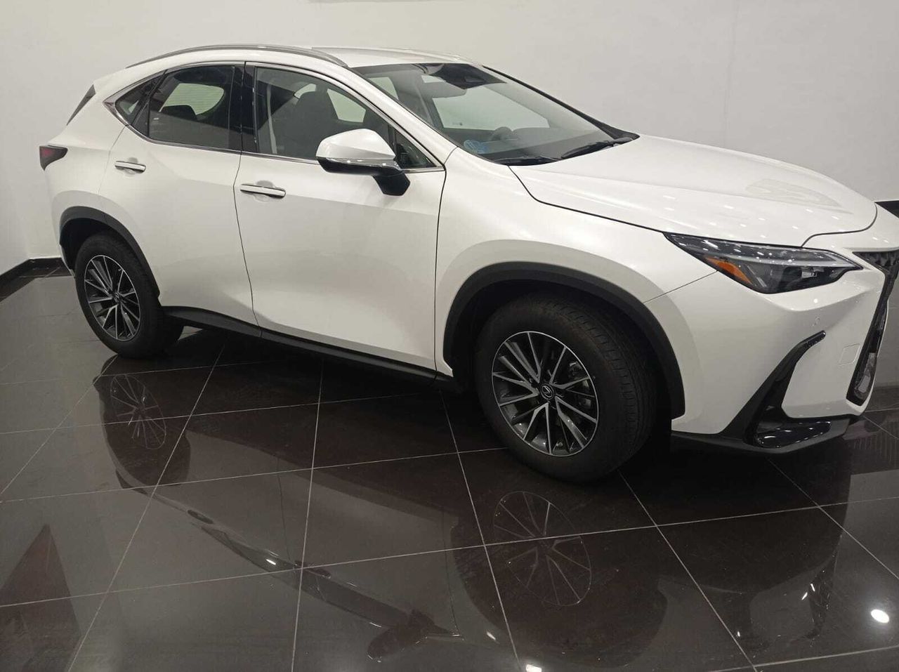 lexus nx 2023 / foto grande (3)