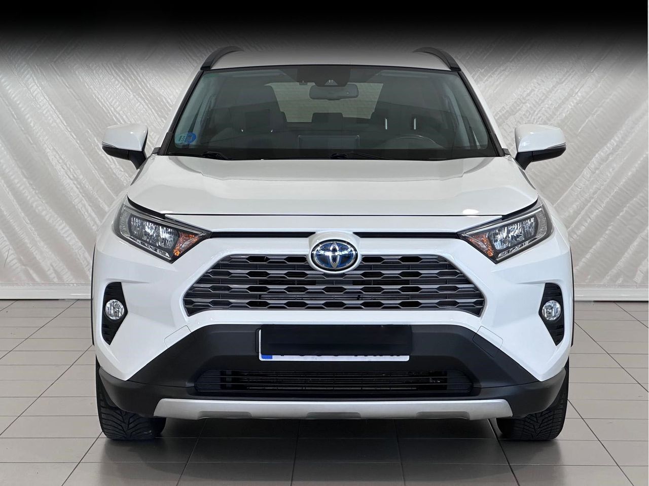 toyota rav4 2019 / foto grande (2)