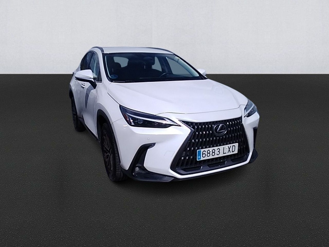 lexus nx 2022 / foto grande (3)