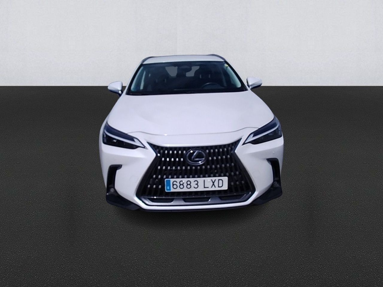 lexus nx 2022 / foto grande (2)