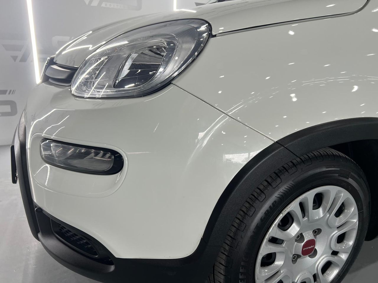 Imagen 15 del Fiat Panda en Auto Select Edition, Figueres