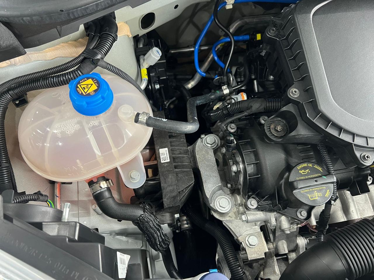 Imagen 27 del Fiat Panda en Auto Select Edition, Figueres