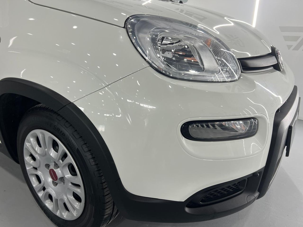 Imagen 10 del Fiat Panda en Auto Select Edition, Figueres