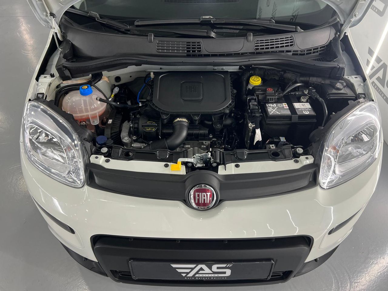 Imagen 37 del Fiat Panda en Auto Select Edition, Figueres