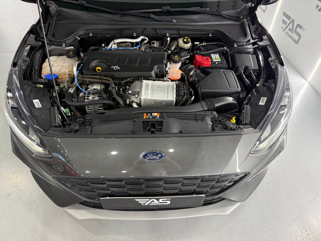 Imagen 53 del Ford Focus en Auto Select Edition, Figueres