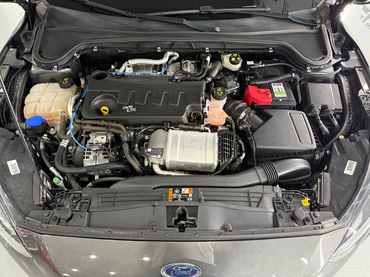 Imagen 54 del Ford Focus en Auto Select Edition, Figueres