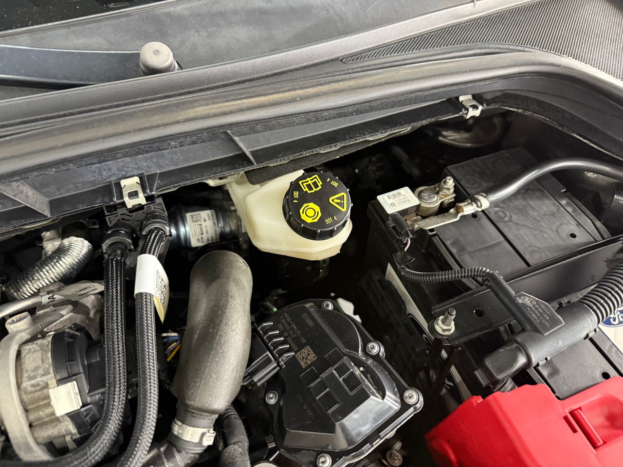 Imagen 62 del Ford Focus en Auto Select Edition, Figueres