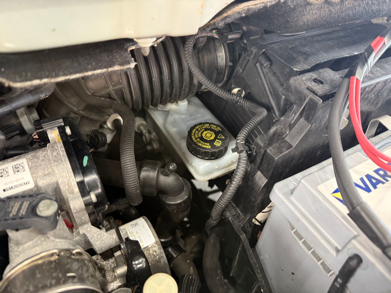 Imagen 63 del Mercedes Citan en Auto Select Edition, Figueres