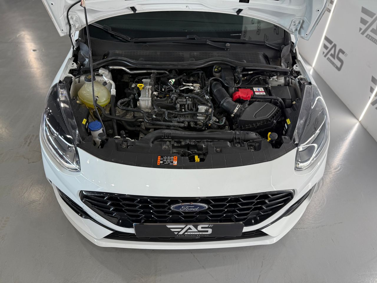 Imagen 48 del Ford Fiesta en Auto Select Edition, Figueres