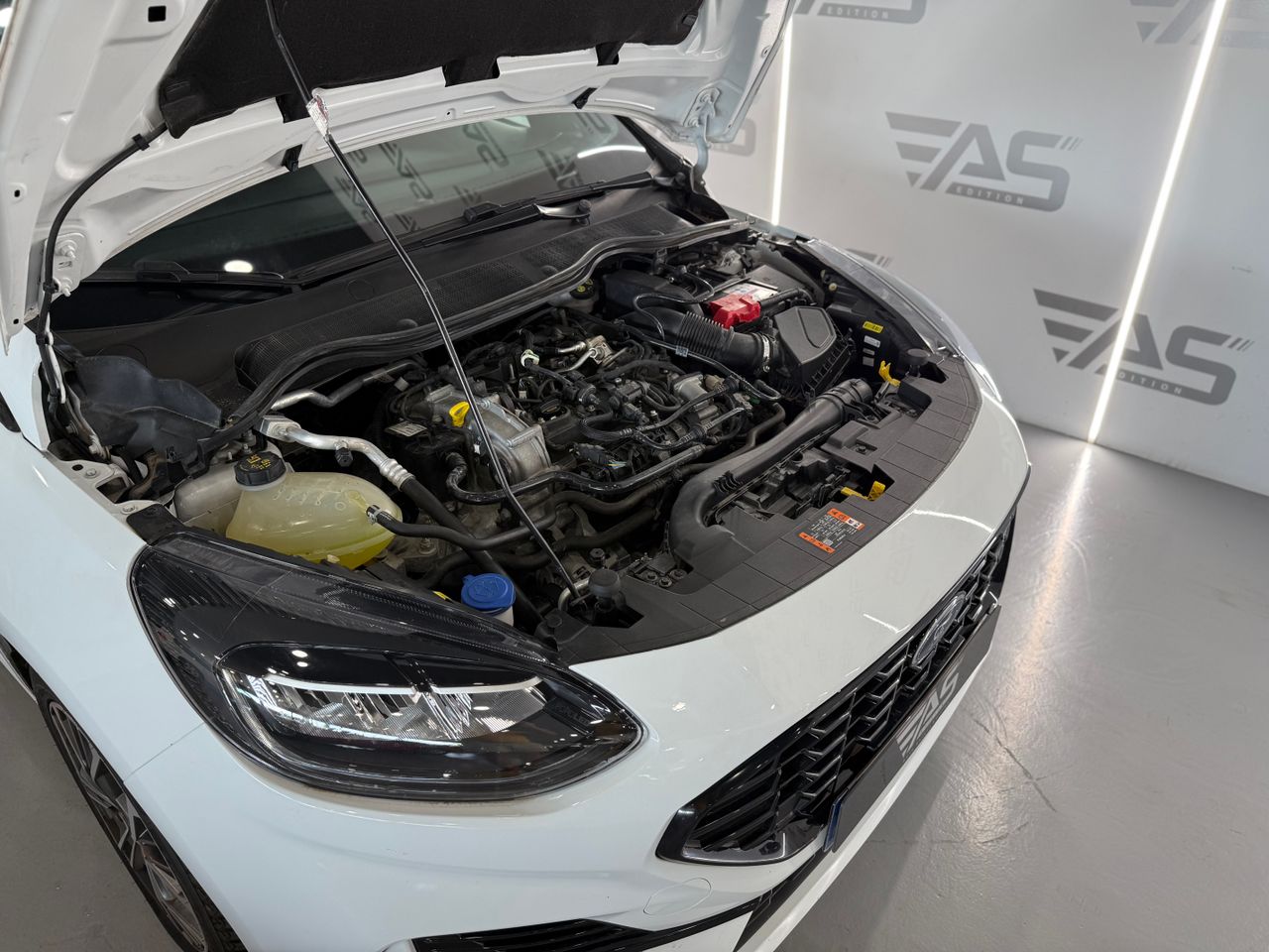Imagen 49 del Ford Fiesta en Auto Select Edition, Figueres