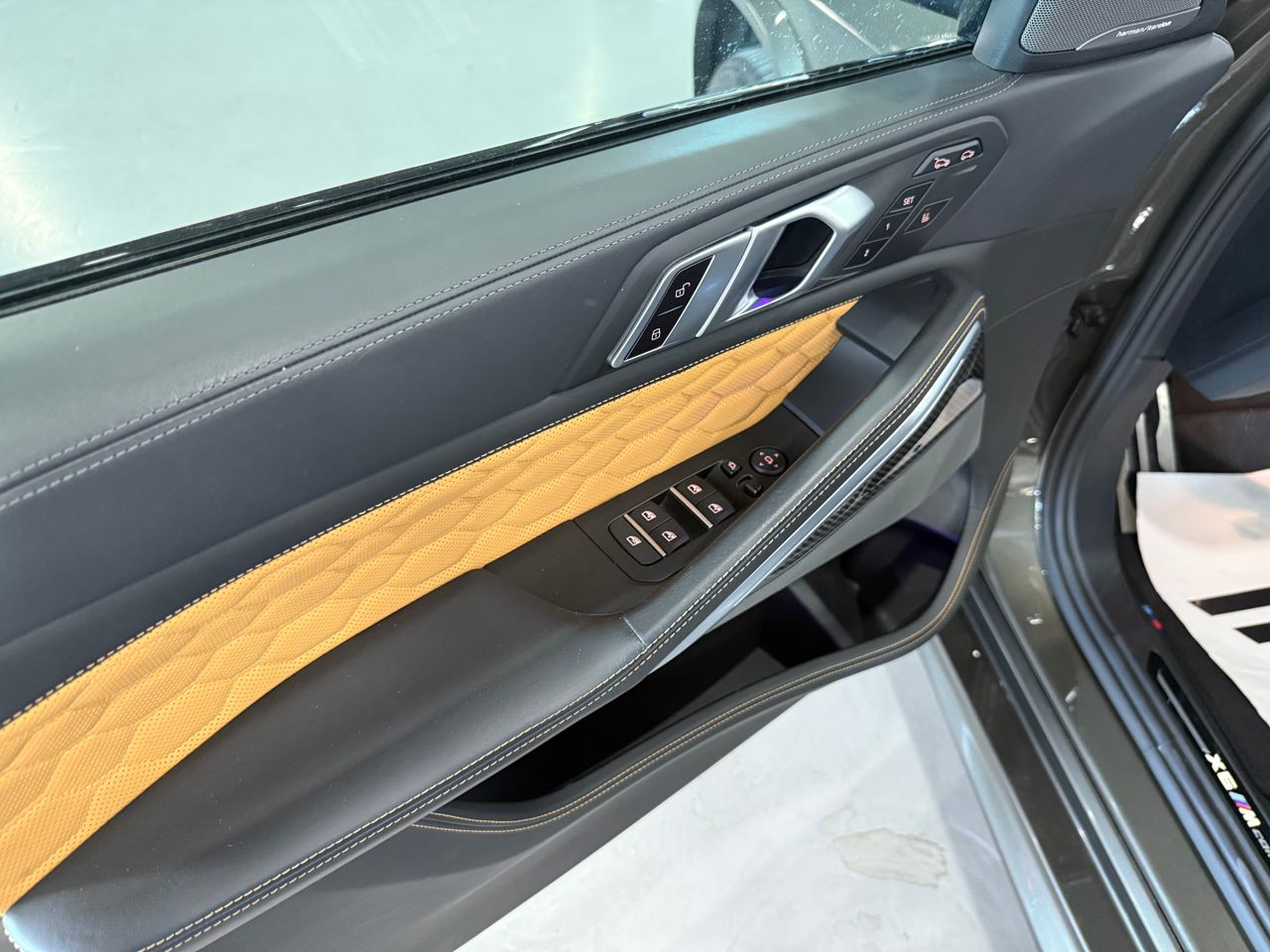 Imagen 251 del BMW X6 en Auto Select Edition, Figueres