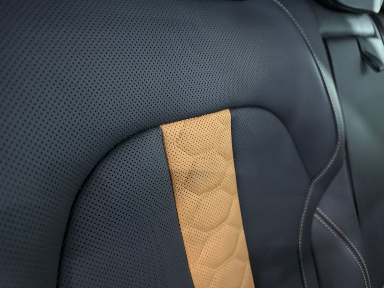 Imagen 185 del BMW X6 en Auto Select Edition, Figueres