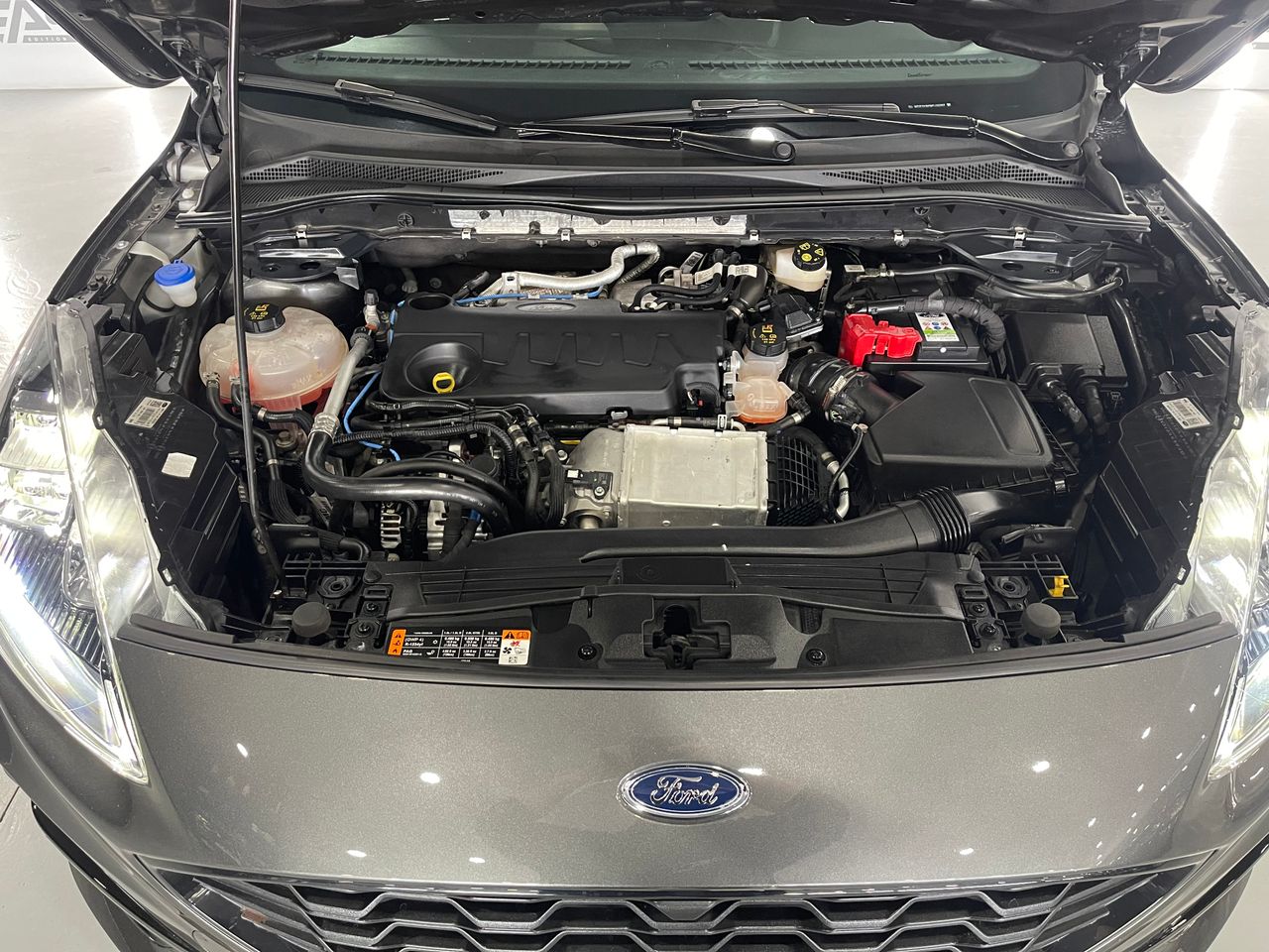 Imagen 61 del Ford Kuga en Auto Select Edition, Figueres