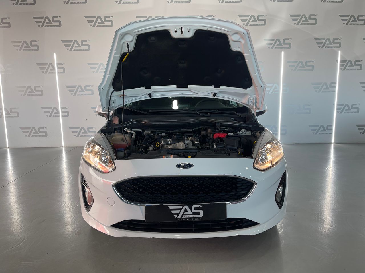 Imagen 42 del Ford Fiesta en Auto Select Edition, Figueres