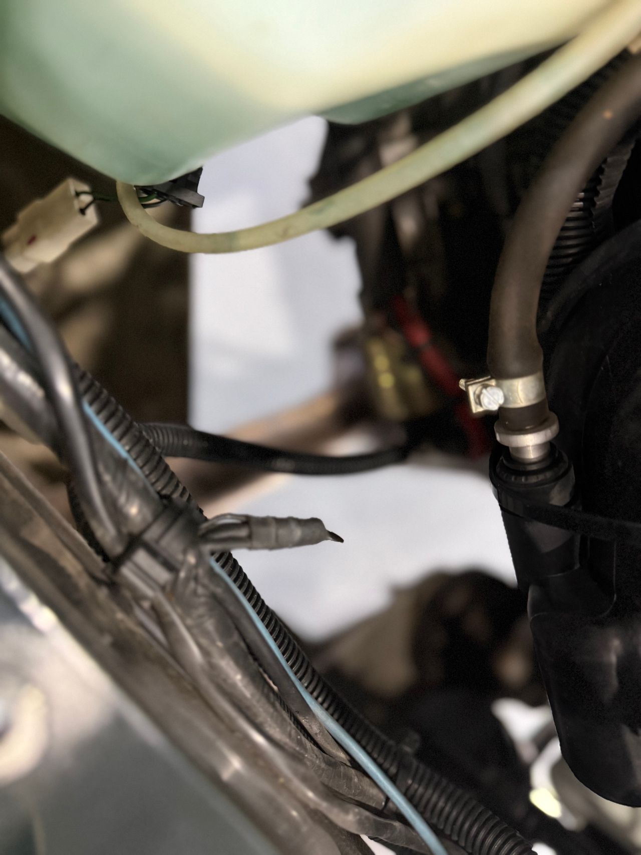 Imagen 147 del Morgan 4 4 en Auto Select Edition, Figueres