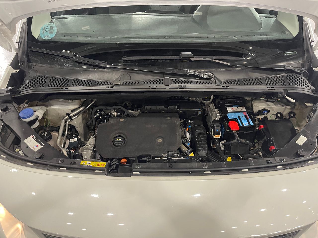 Imagen 57 del Peugeot Rifter en Auto Select Edition, Figueres