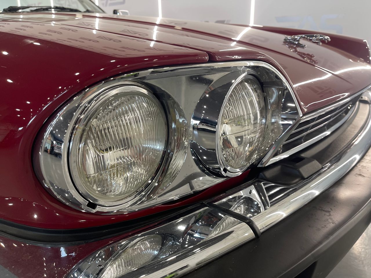 Imagen 48 del Jaguar XJ en Auto Select Edition, Figueres