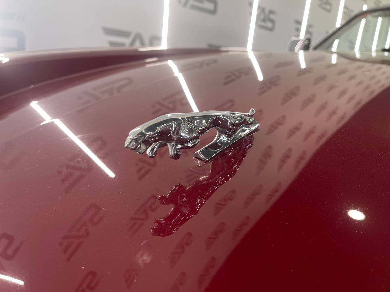 Imagen 31 del Jaguar XJ en Auto Select Edition, Figueres