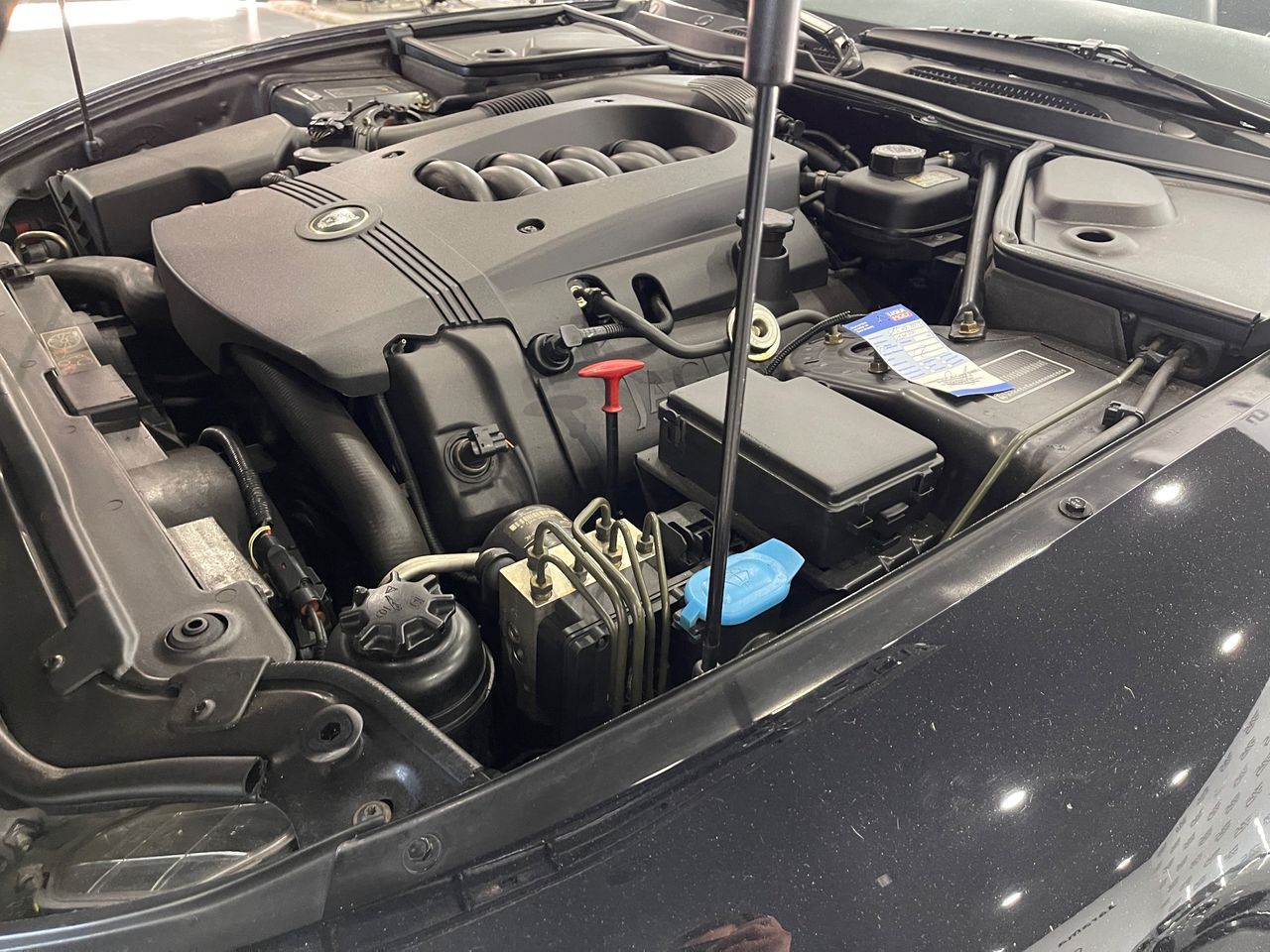 Imagen 68 del Jaguar XK en Auto Select Edition, Figueres