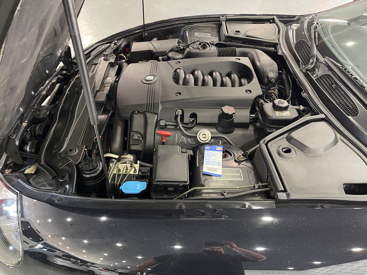 Imagen 67 del Jaguar XK en Auto Select Edition, Figueres