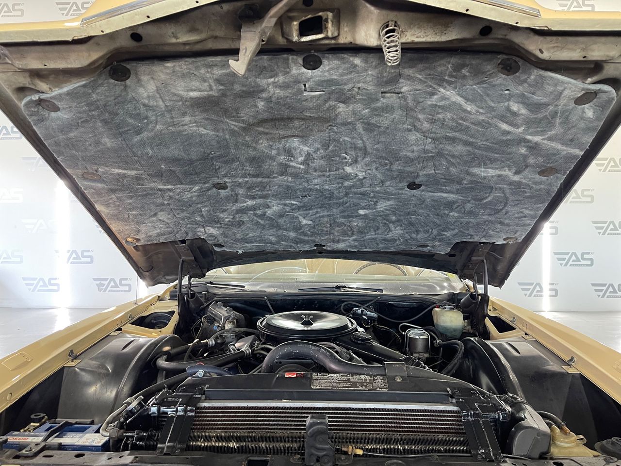 Imagen 62 del Cadillac Eldorado en Auto Select Edition, Figueres