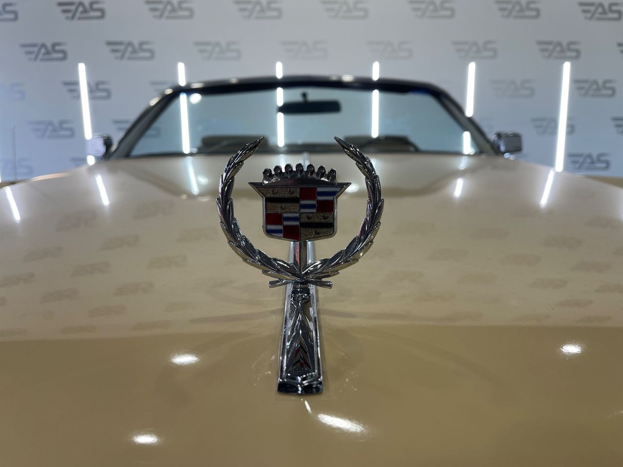Imagen 13 del Cadillac Eldorado en Auto Select Edition, Figueres