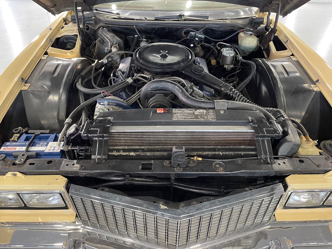 Imagen 61 del Cadillac Eldorado en Auto Select Edition, Figueres