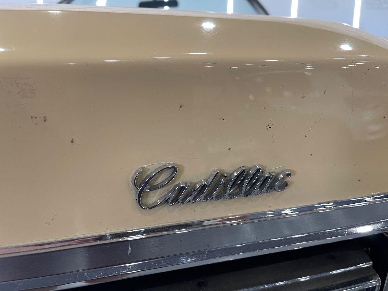 Imagen 14 del Cadillac Eldorado en Auto Select Edition, Figueres