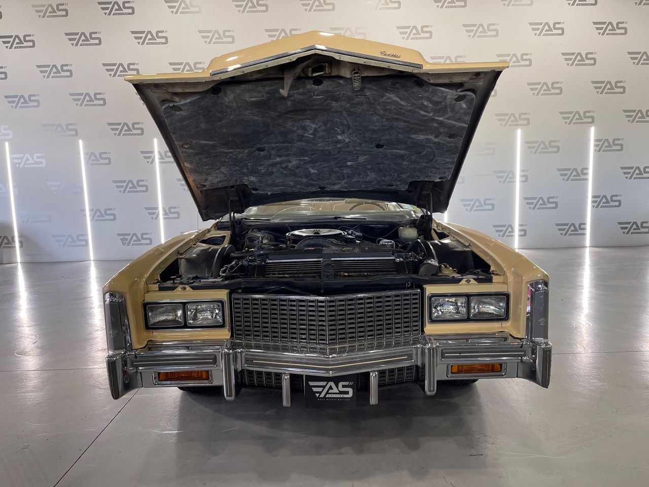 Imagen 60 del Cadillac Eldorado en Auto Select Edition, Figueres