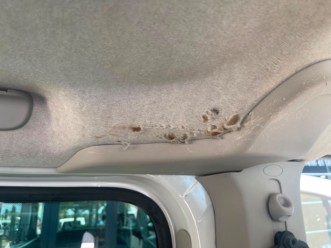 Imagen 137 del Opel Vivaro en Auto Select Edition, Figueres