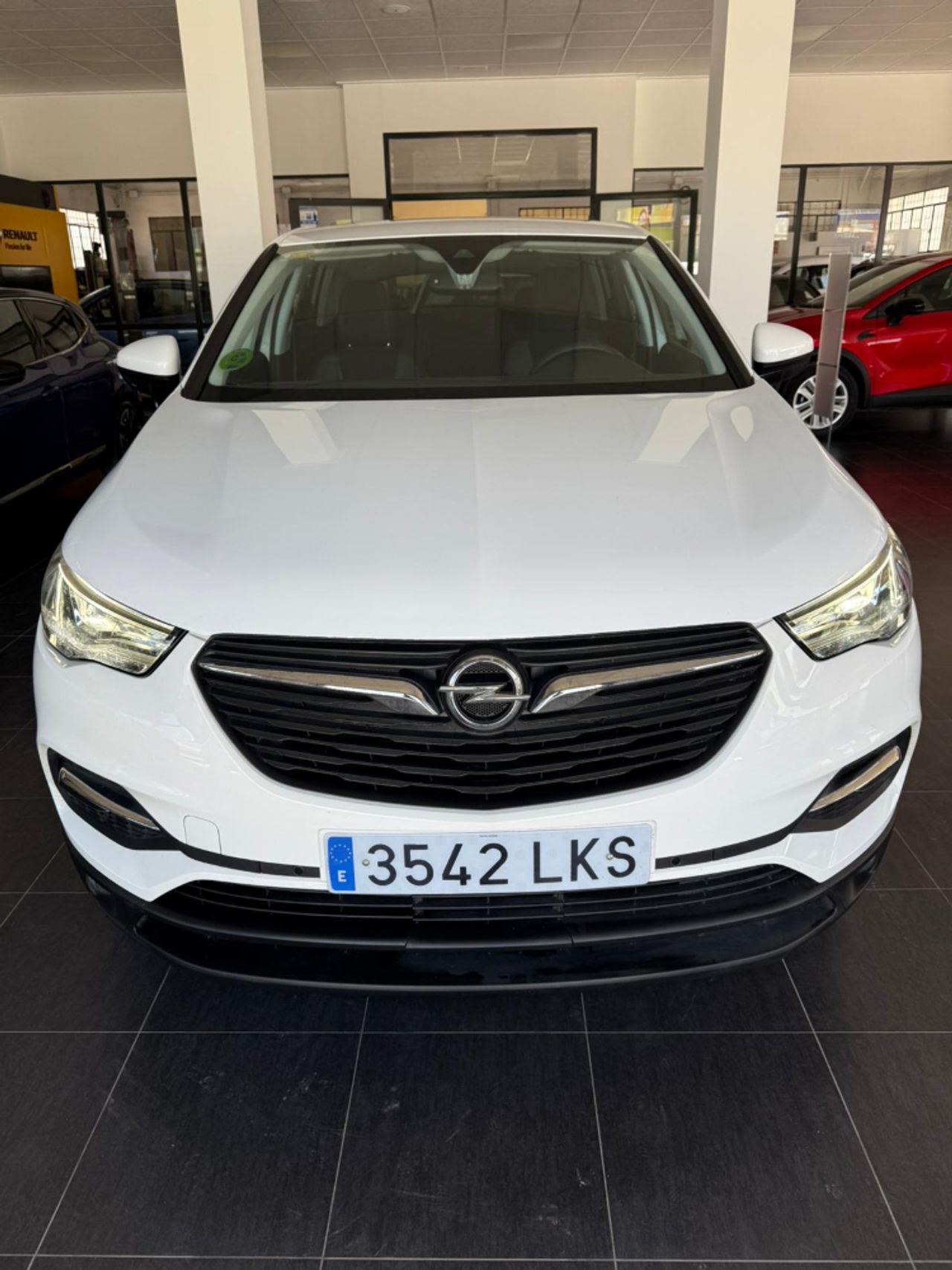 opel grandland x 2020 / foto grande (2)