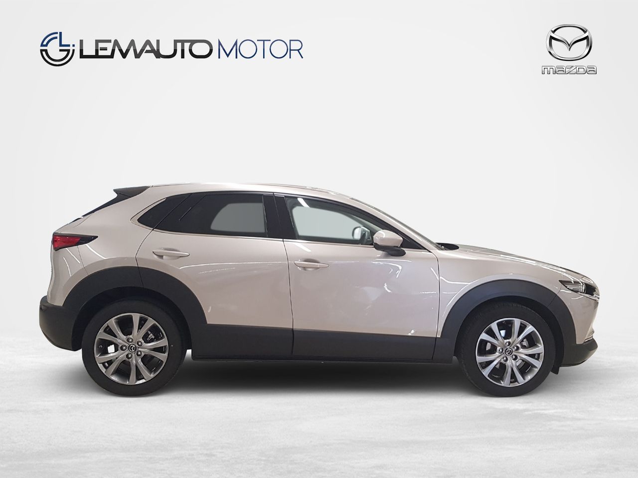 Mazda CX-30 e-SKY X MHEV 137kW AT AWD Excl-line Plus - Foto 2