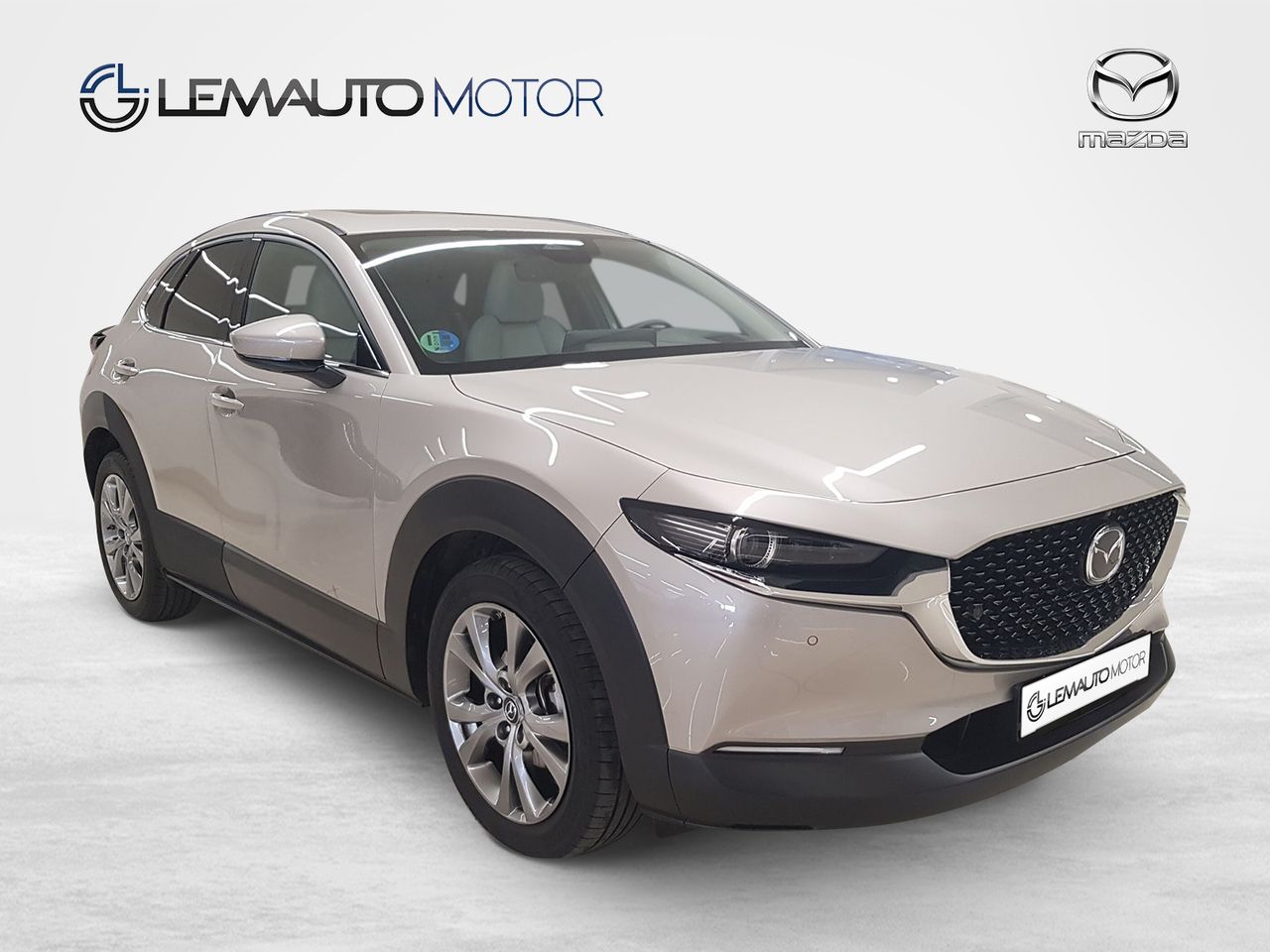 Mazda CX-30 e-SKY X MHEV 137kW AT AWD Excl-line Plus - Foto 2