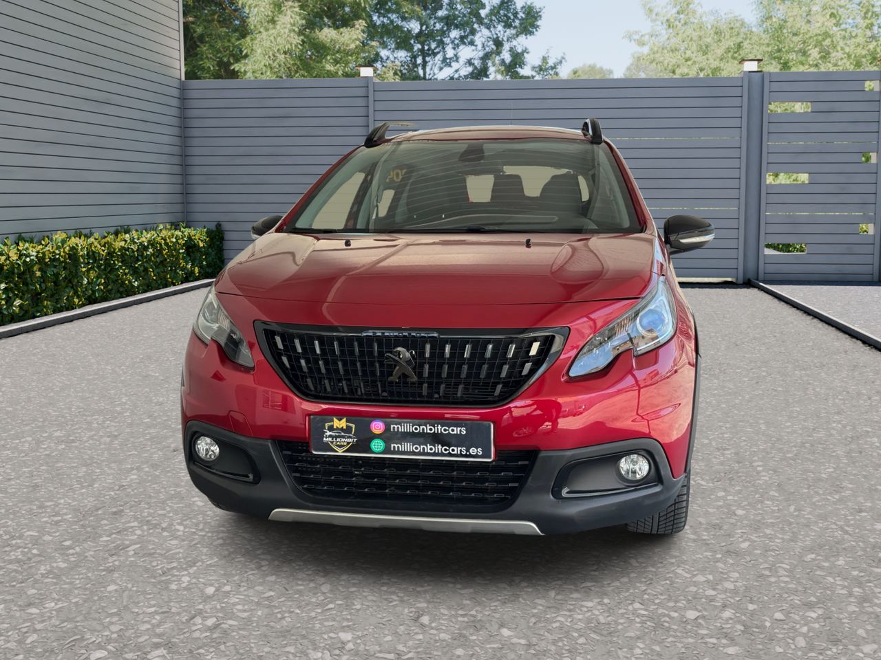 peugeot 2008 2019 / foto grande (2)