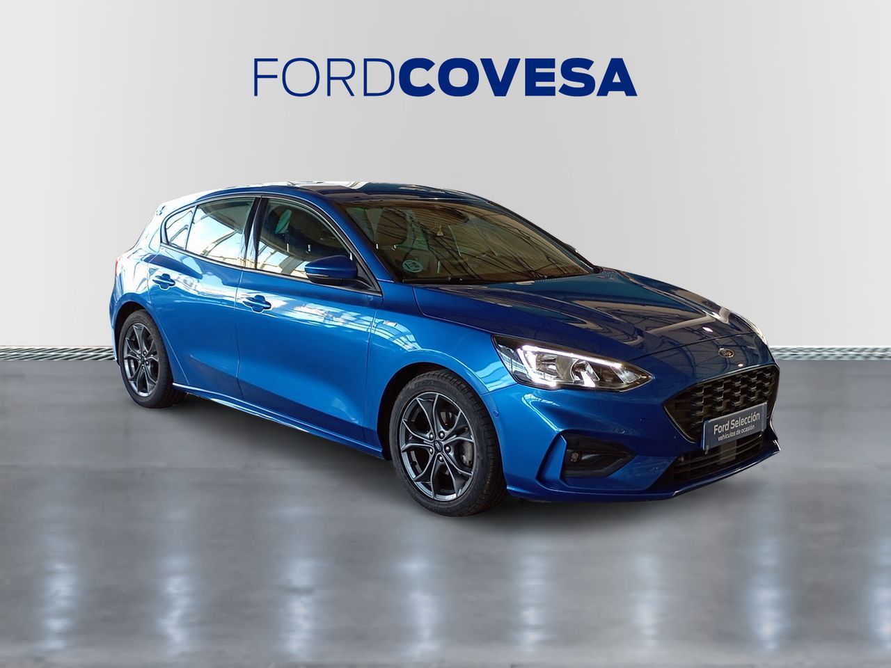 ford focus 2024 / foto grande (2)
