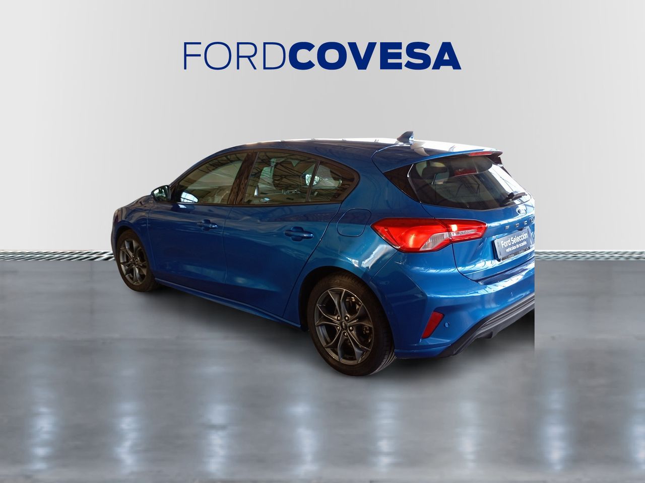 ford focus 2024 / foto grande (3)