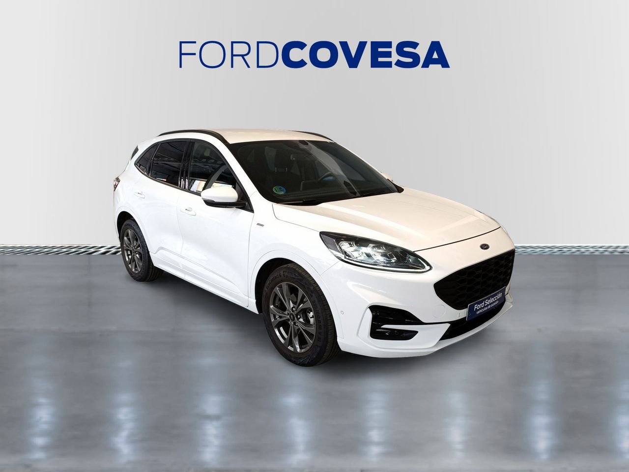 ford kuga 2022 / foto grande (2)