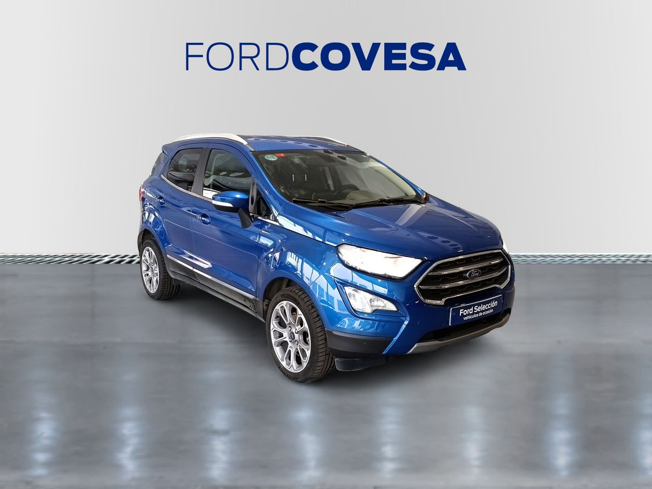 ford ecosport 2018 / foto grande (2)