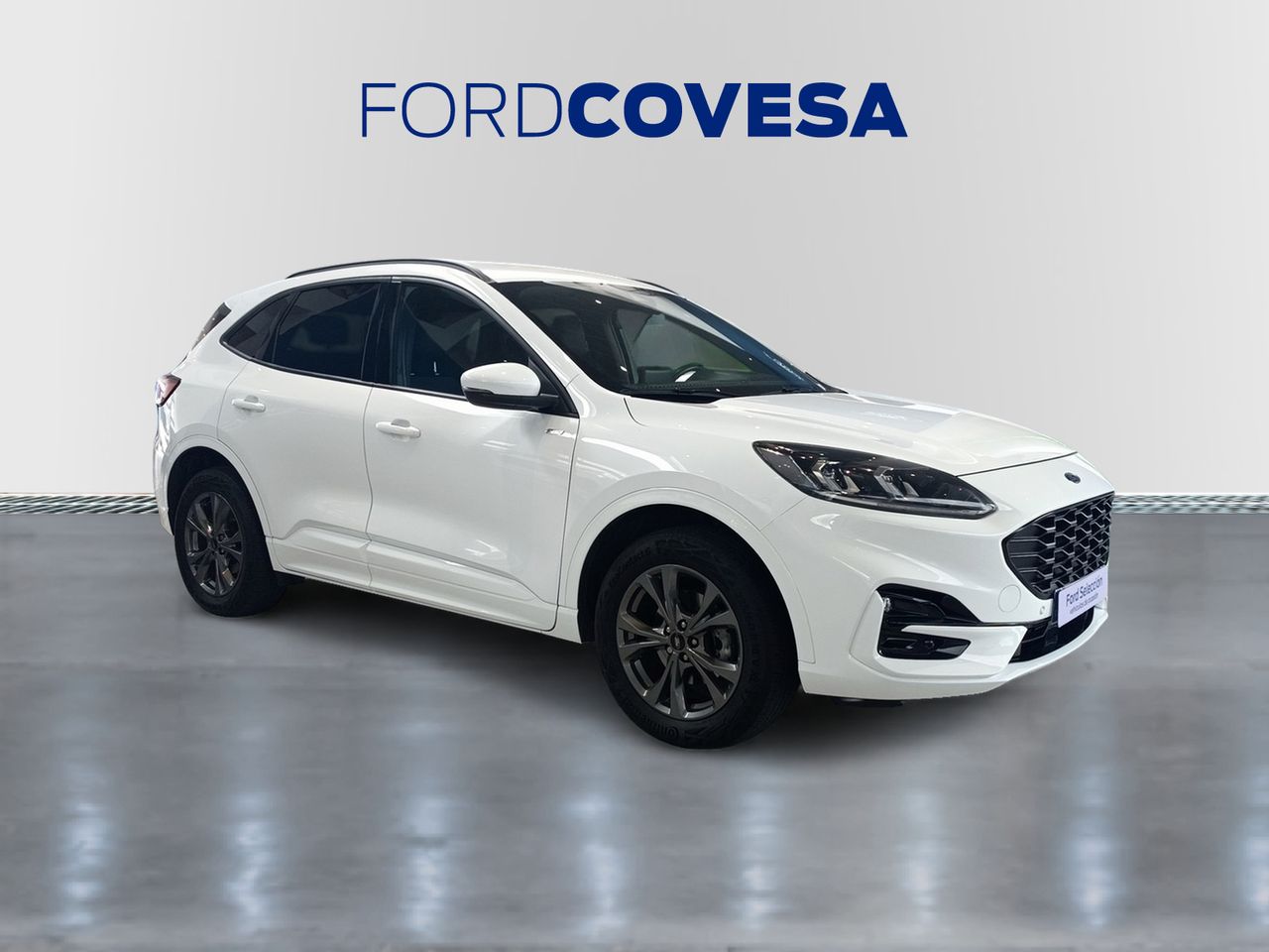 ford kuga 2022 / foto grande (2)