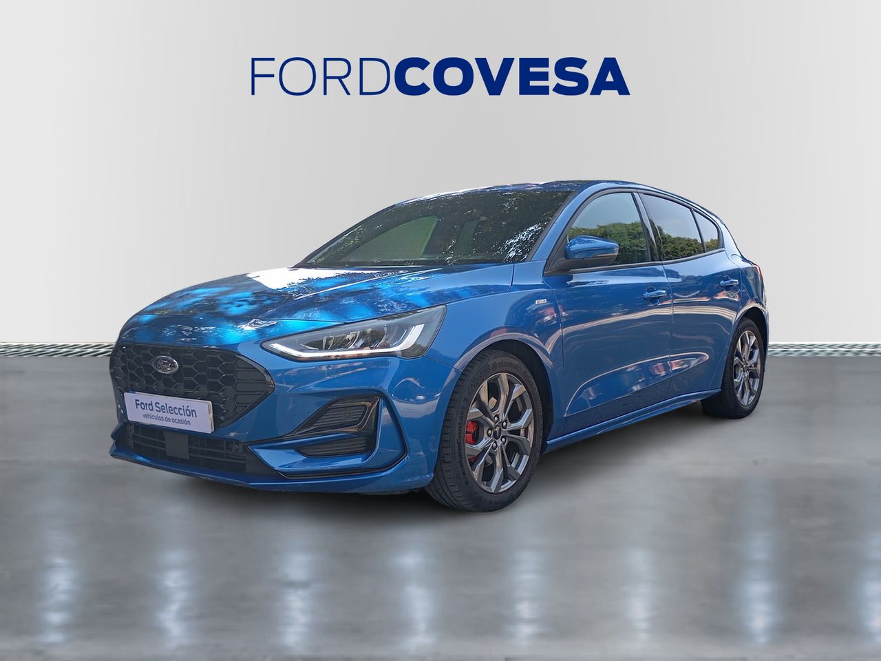 ford focus 2024 /