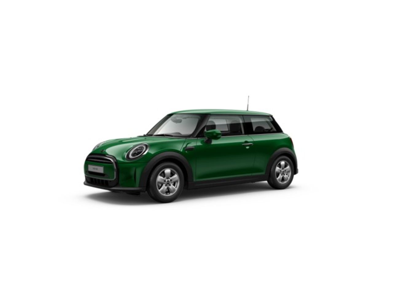 mini mini 2021 / foto grande (3)