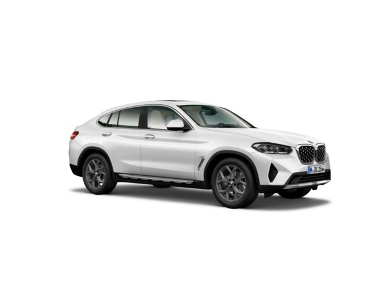 BMW X4 xDrive20d xLine - foto 4