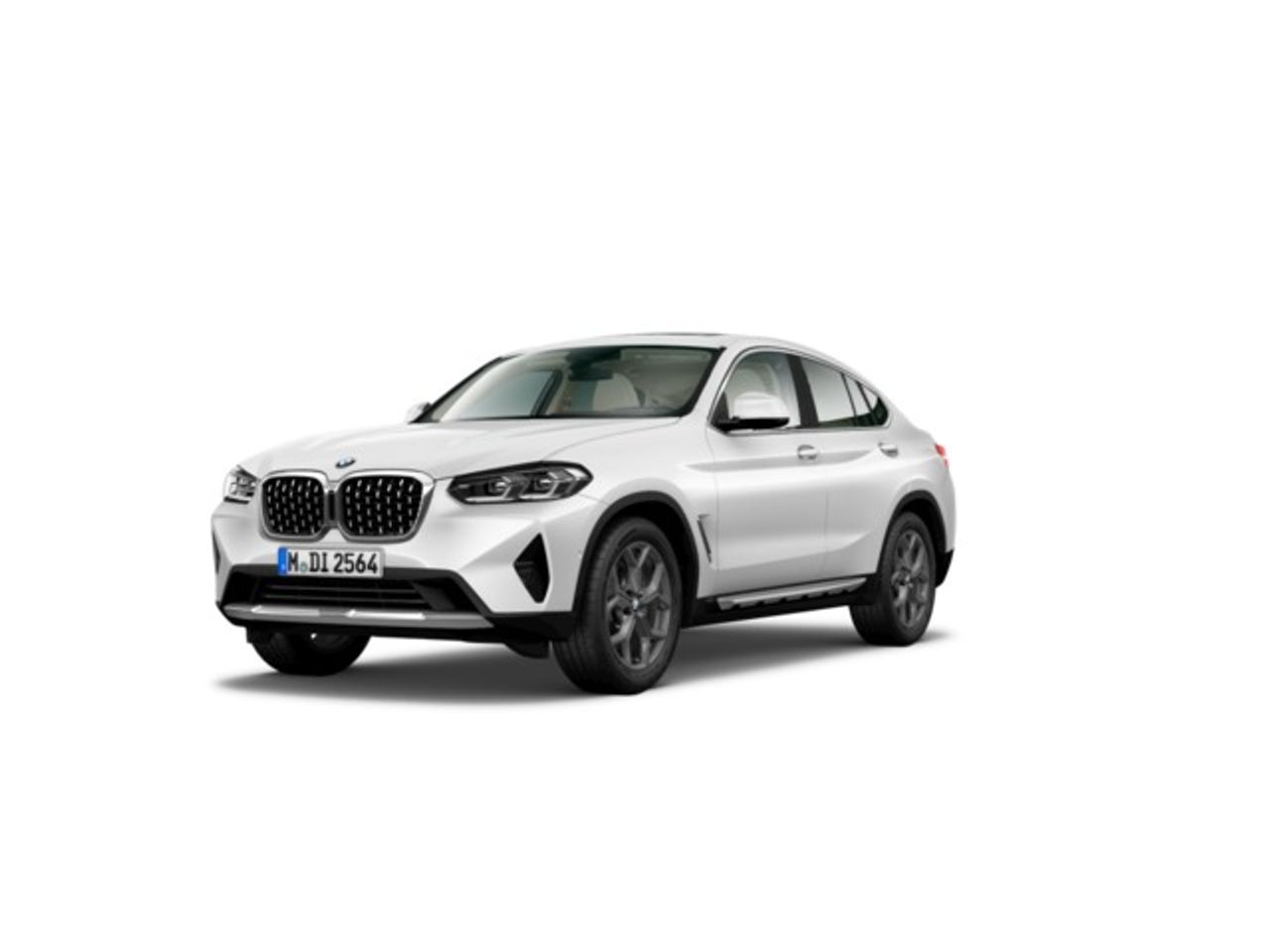 BMW X4 xDrive20d xLine