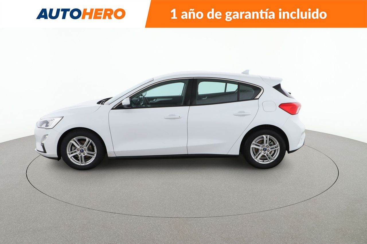 ford focus 2019 / foto grande (3)