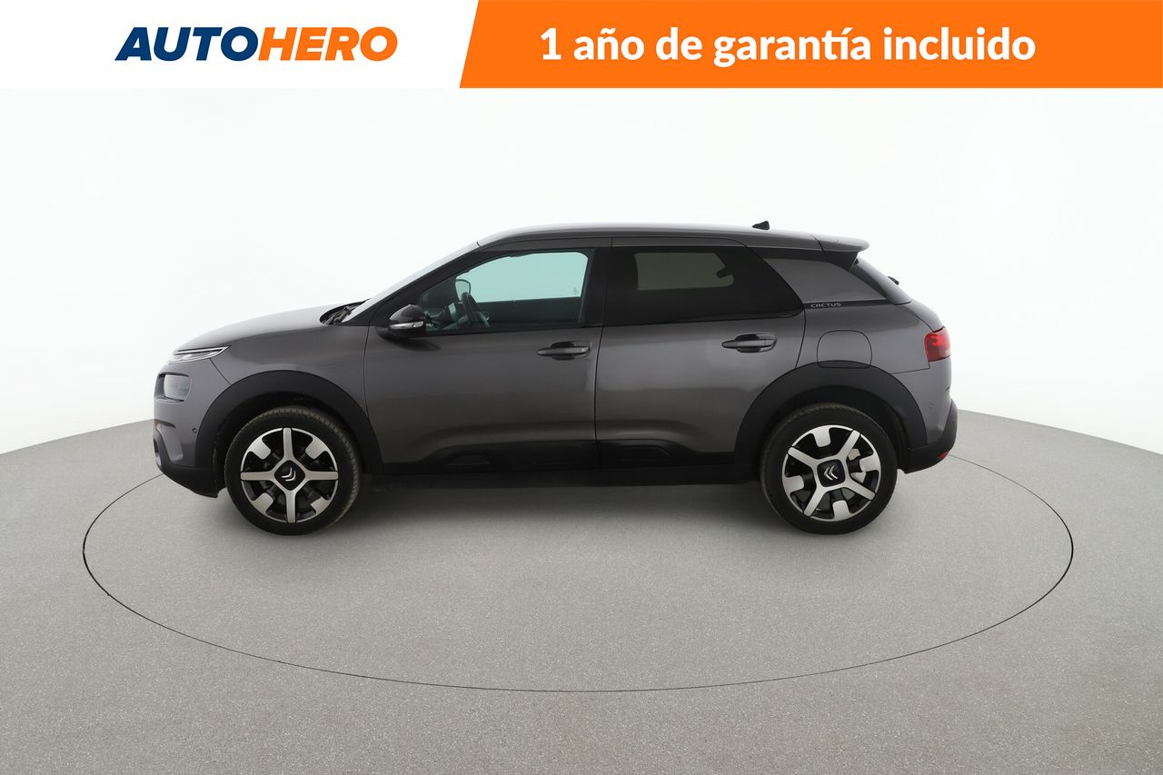 citroën c4 cactus 2020 / foto grande (3)