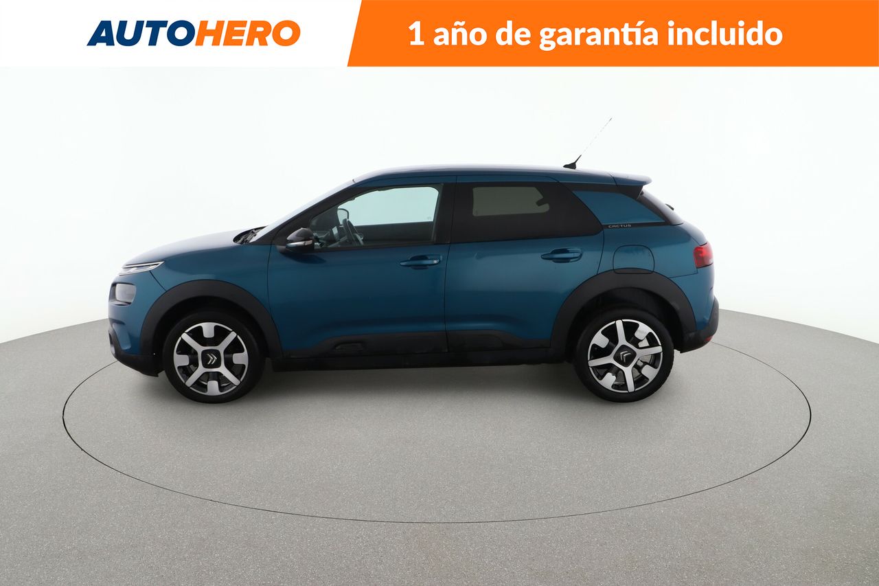 citroën c4 cactus 2019 / foto grande (3)